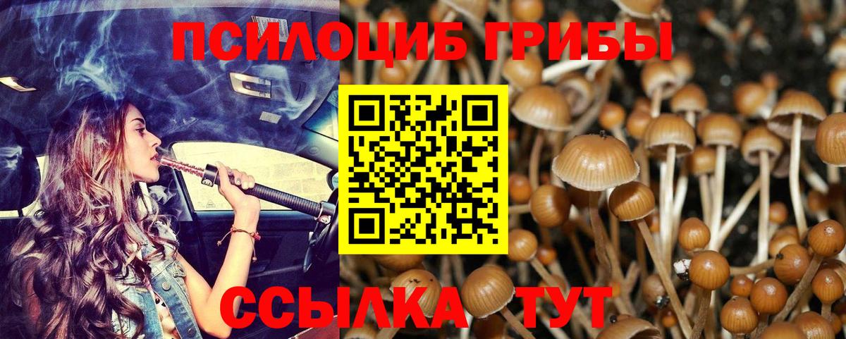 Псилоцибиновые грибы MAGIC MUSHROOMS Новочеркасск